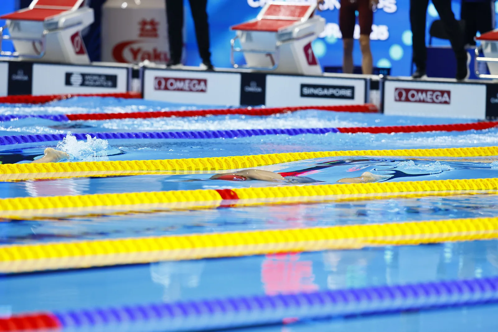 A competition pool with lane ropes and starting blocks, swimmers submerged just below the surface.