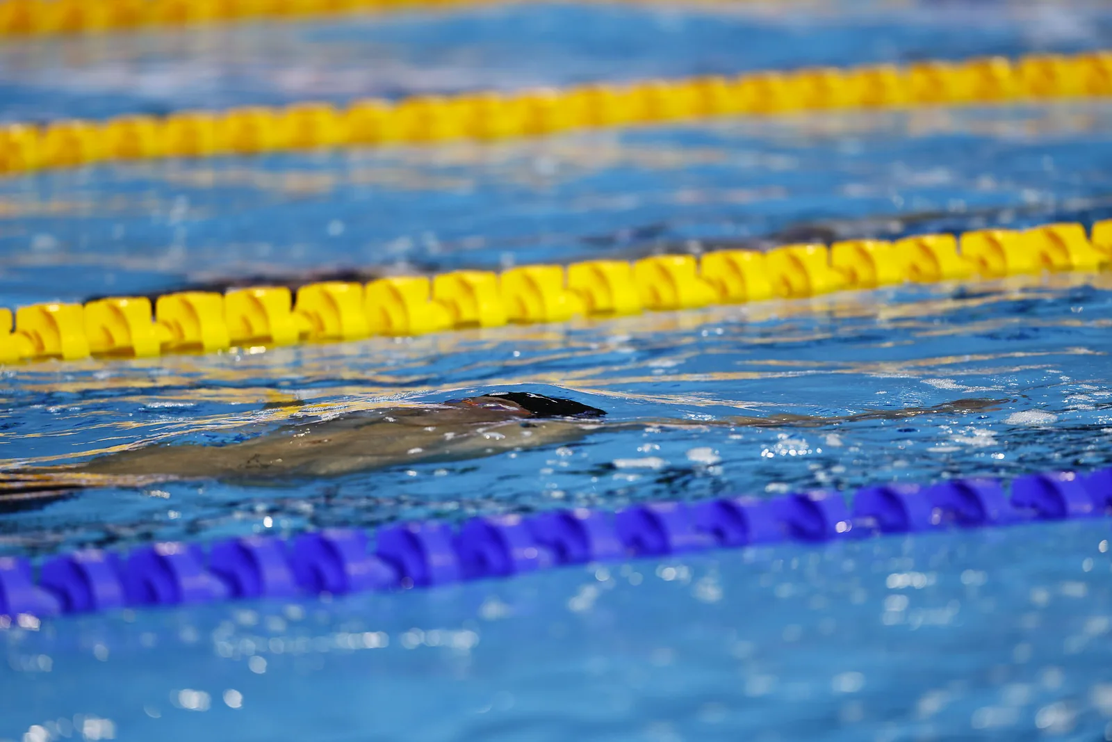 A swimmer gliding just beneath the surface between coloured lane ropes.
